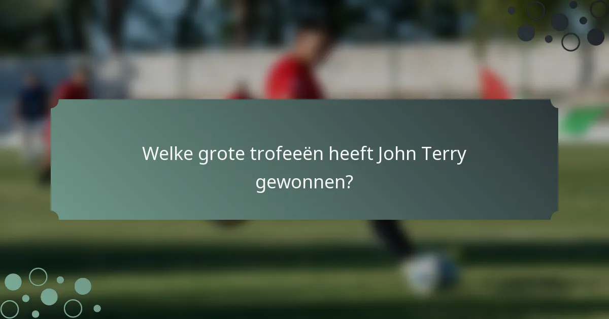 Welke grote trofeeën heeft John Terry gewonnen?